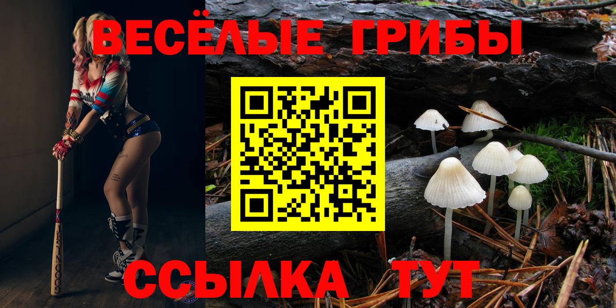 Галлюциногенные грибы мицелий Луга